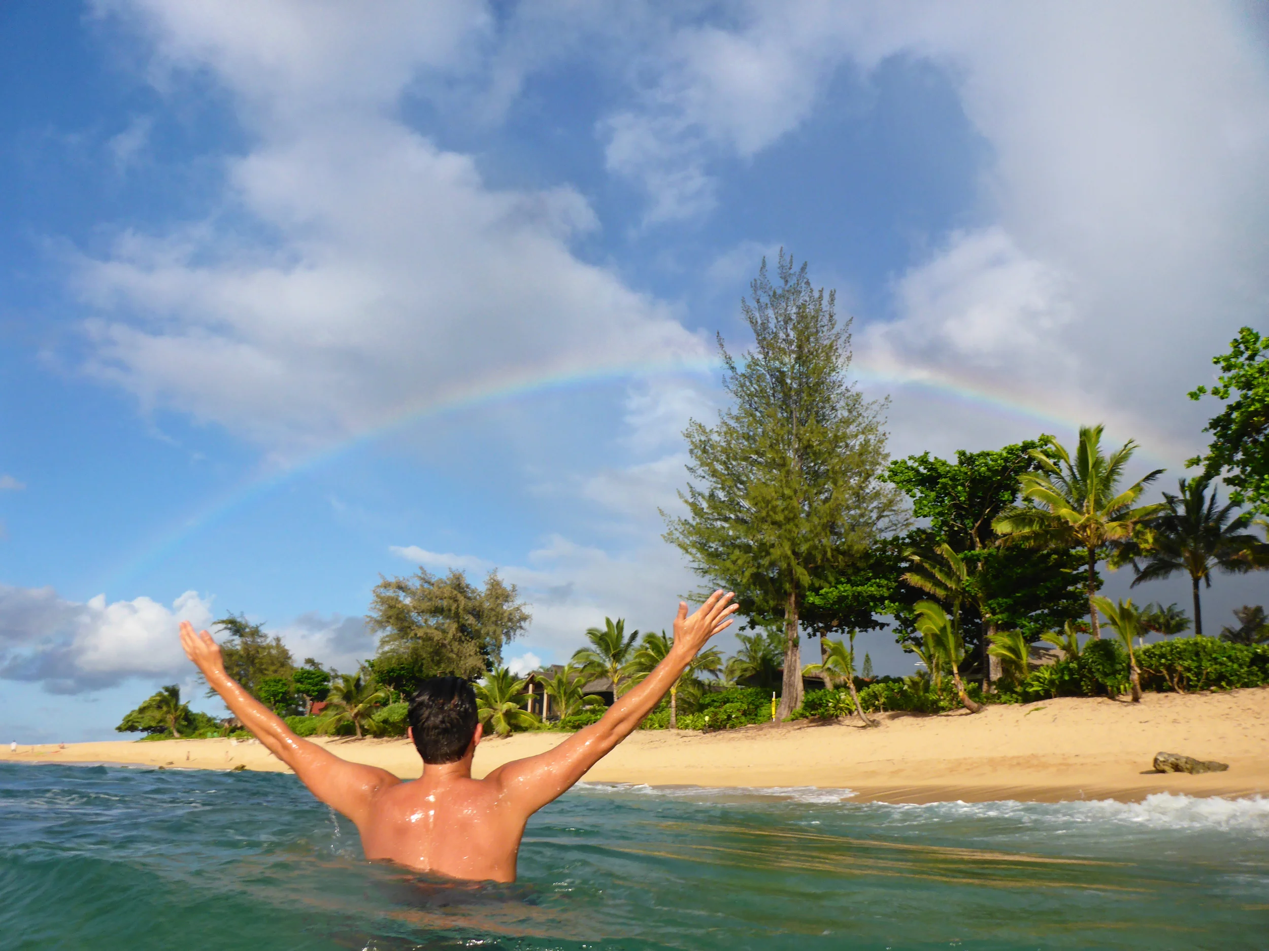 P1010330birdbow.jpg
