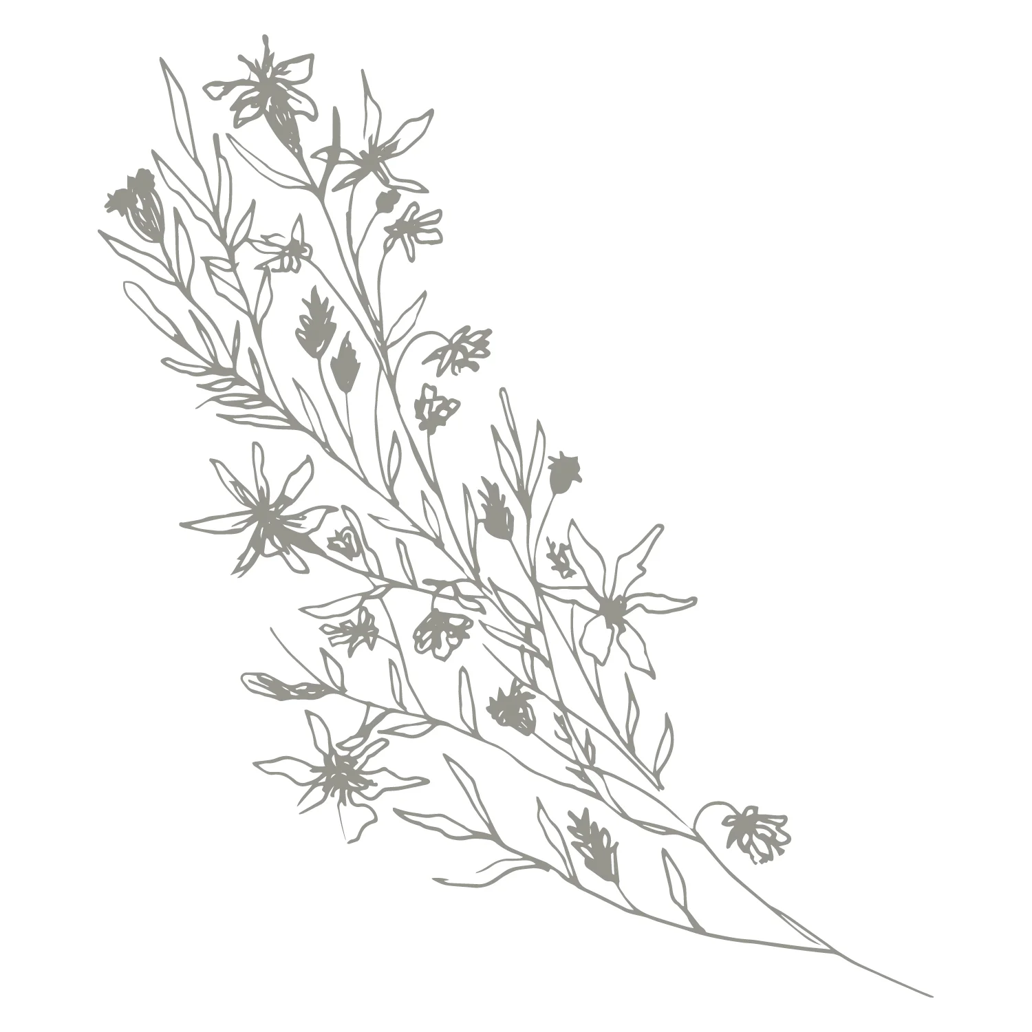 MB6 Floral.jpg