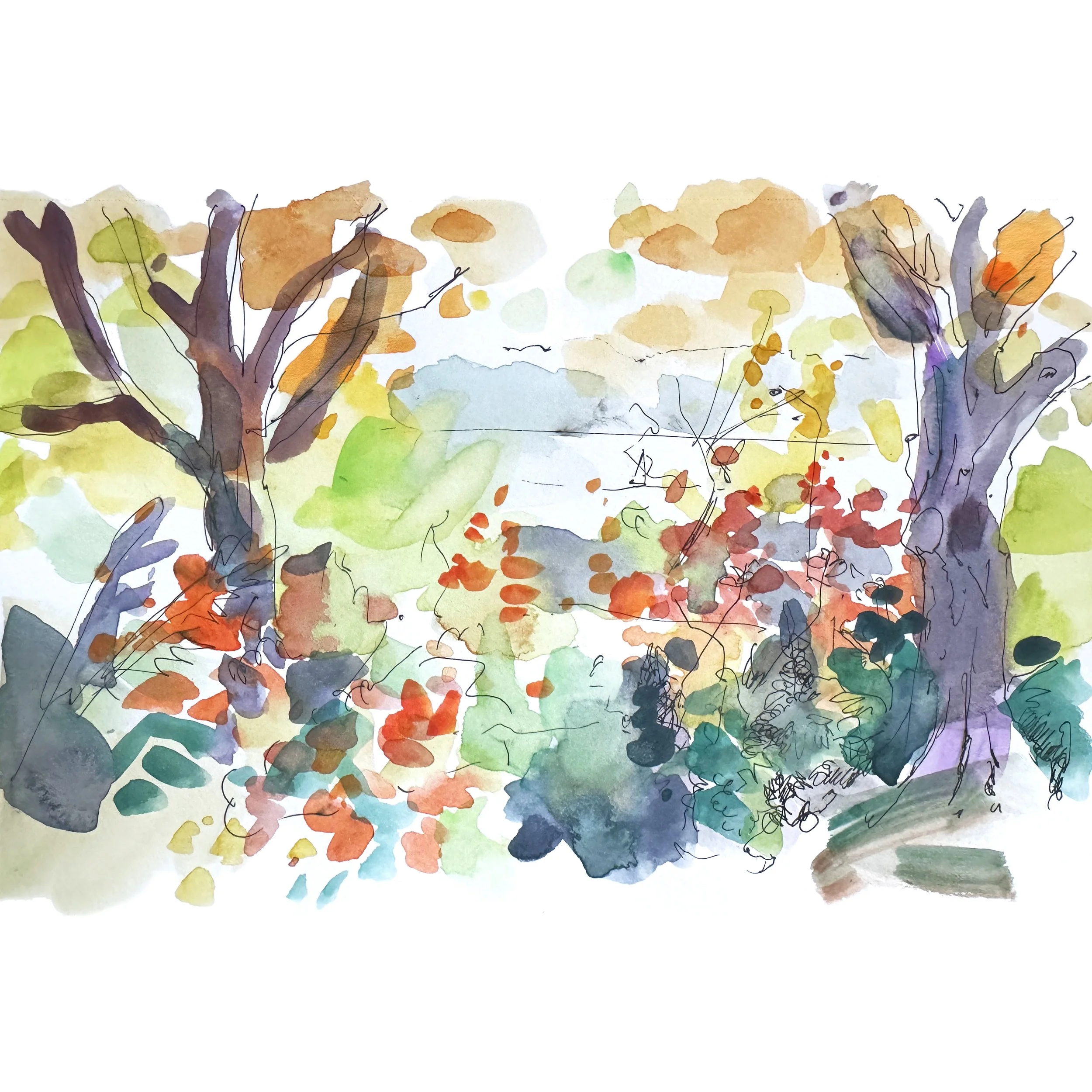 foliage site pic 1.jpg
