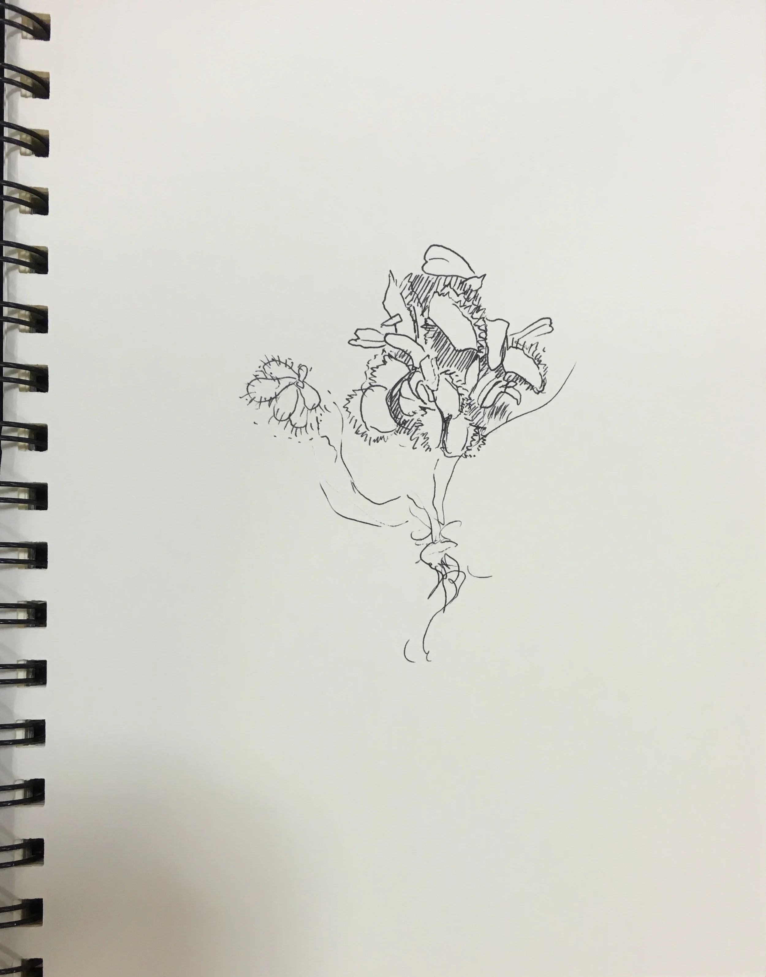 Botanic Garden, University of Oxford