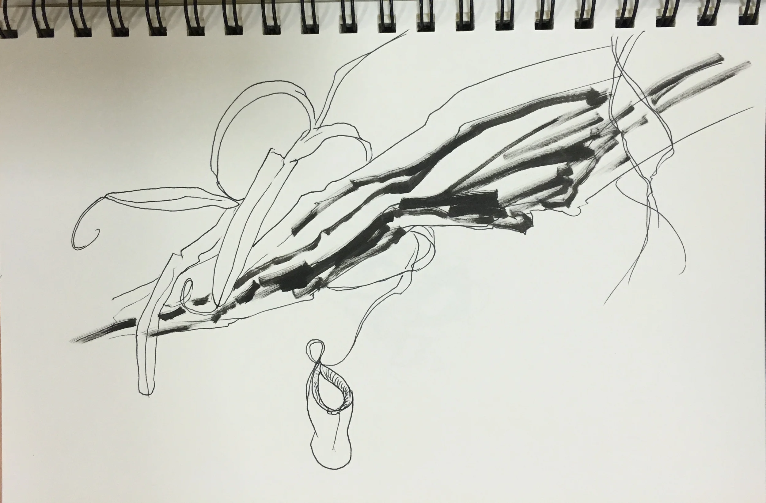 Botanic Garden, University of Oxford