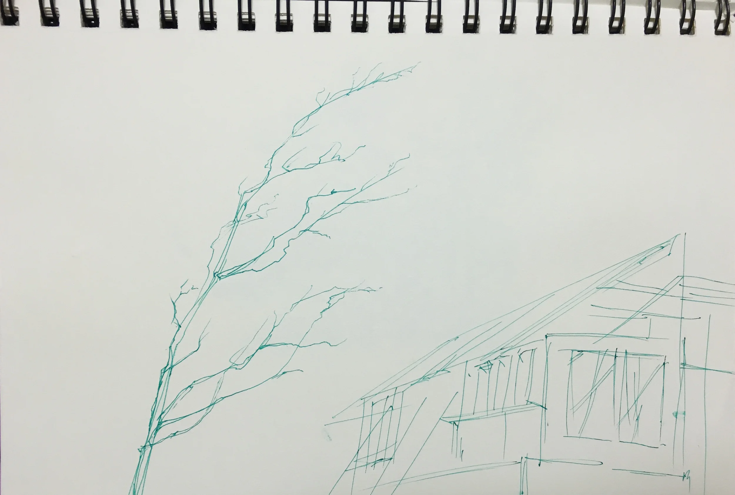 Nauset Beach, Cape Cod