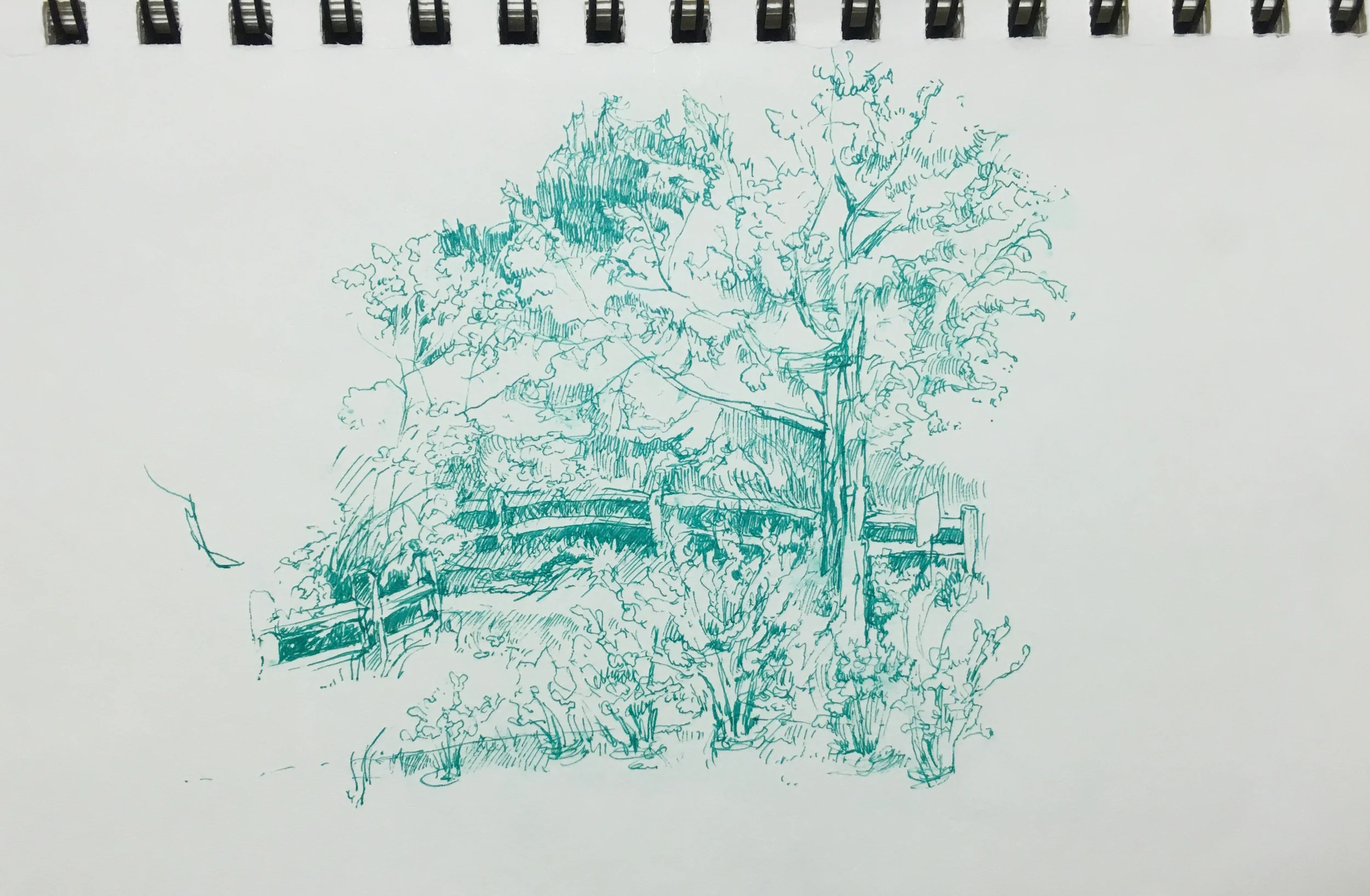 Nauset Beach, Cape Cod