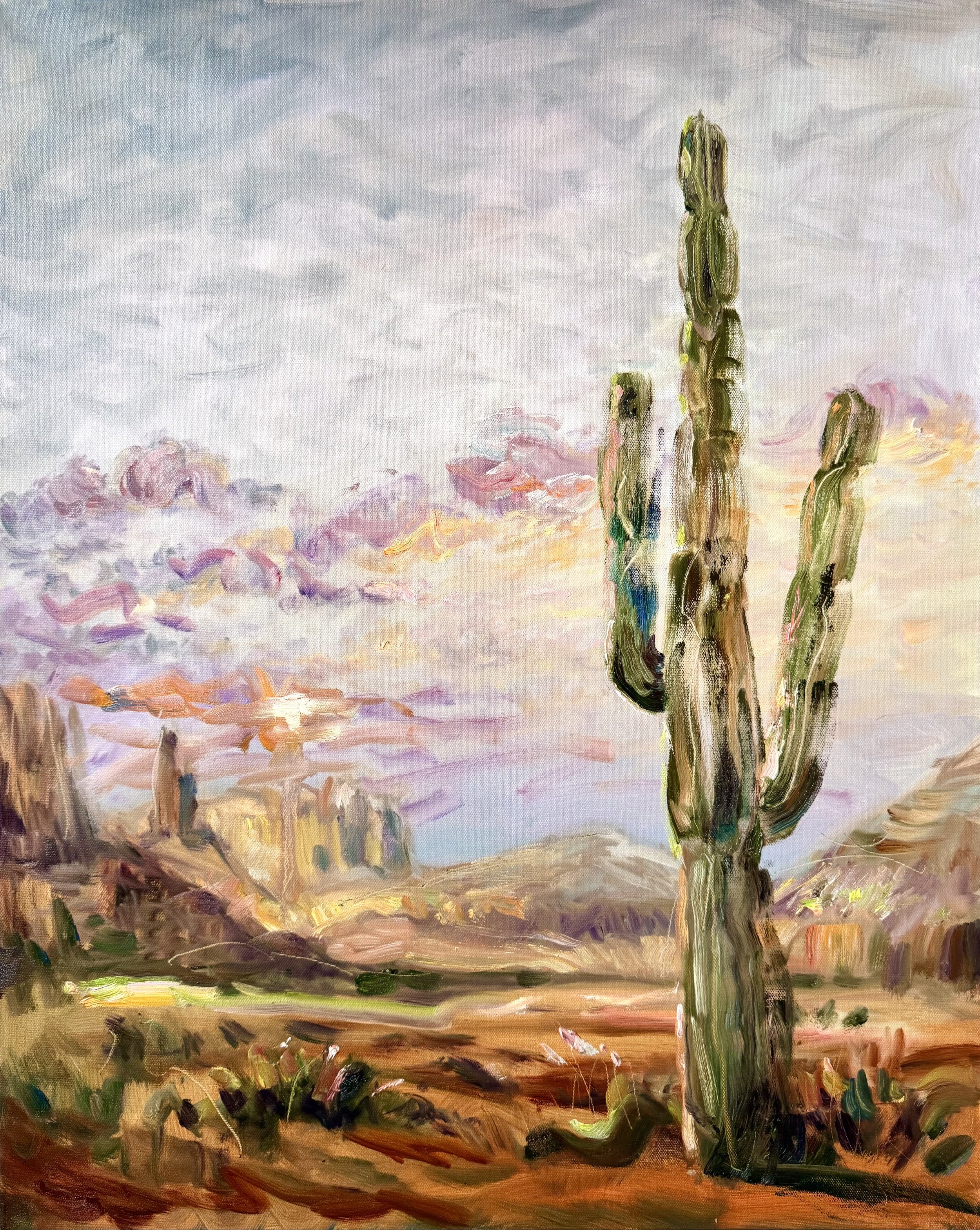 Saguaro Sun, 30x24 in. sold