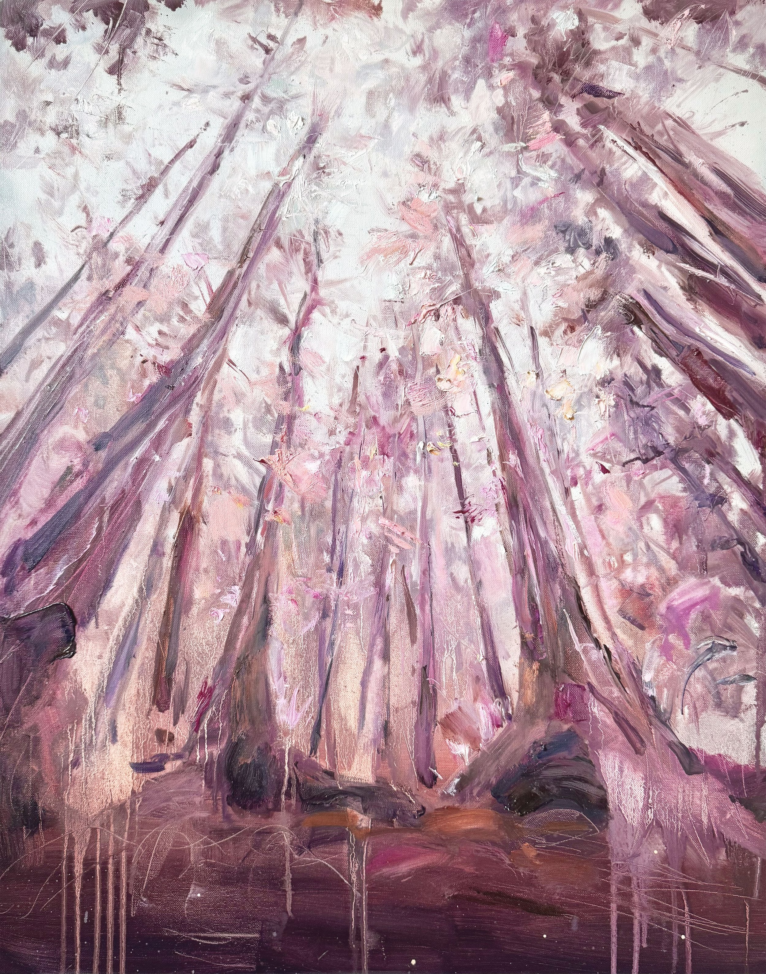 Magical Redwoods, 30x24 in.