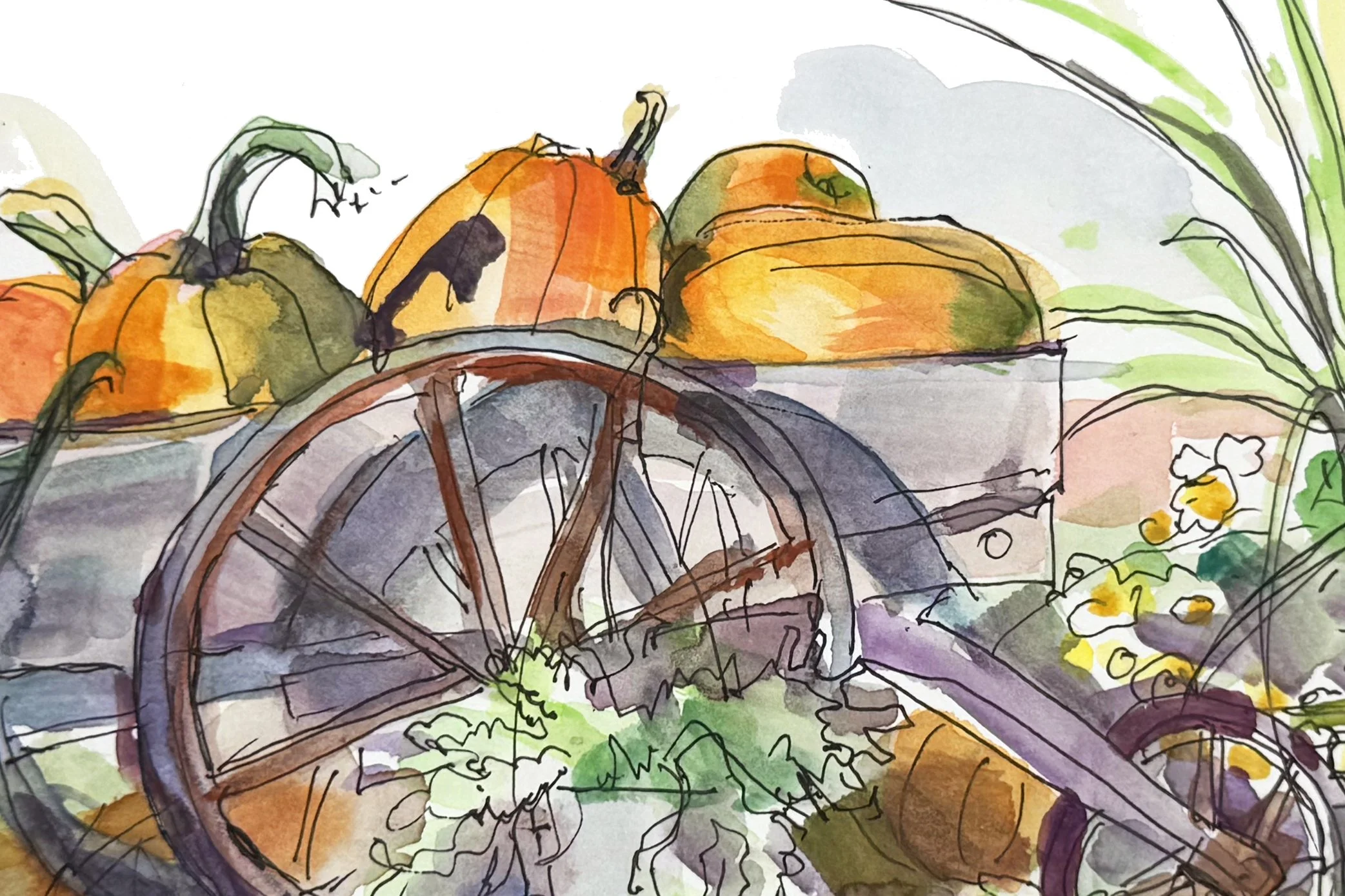 pumpking site pic 2.jpg