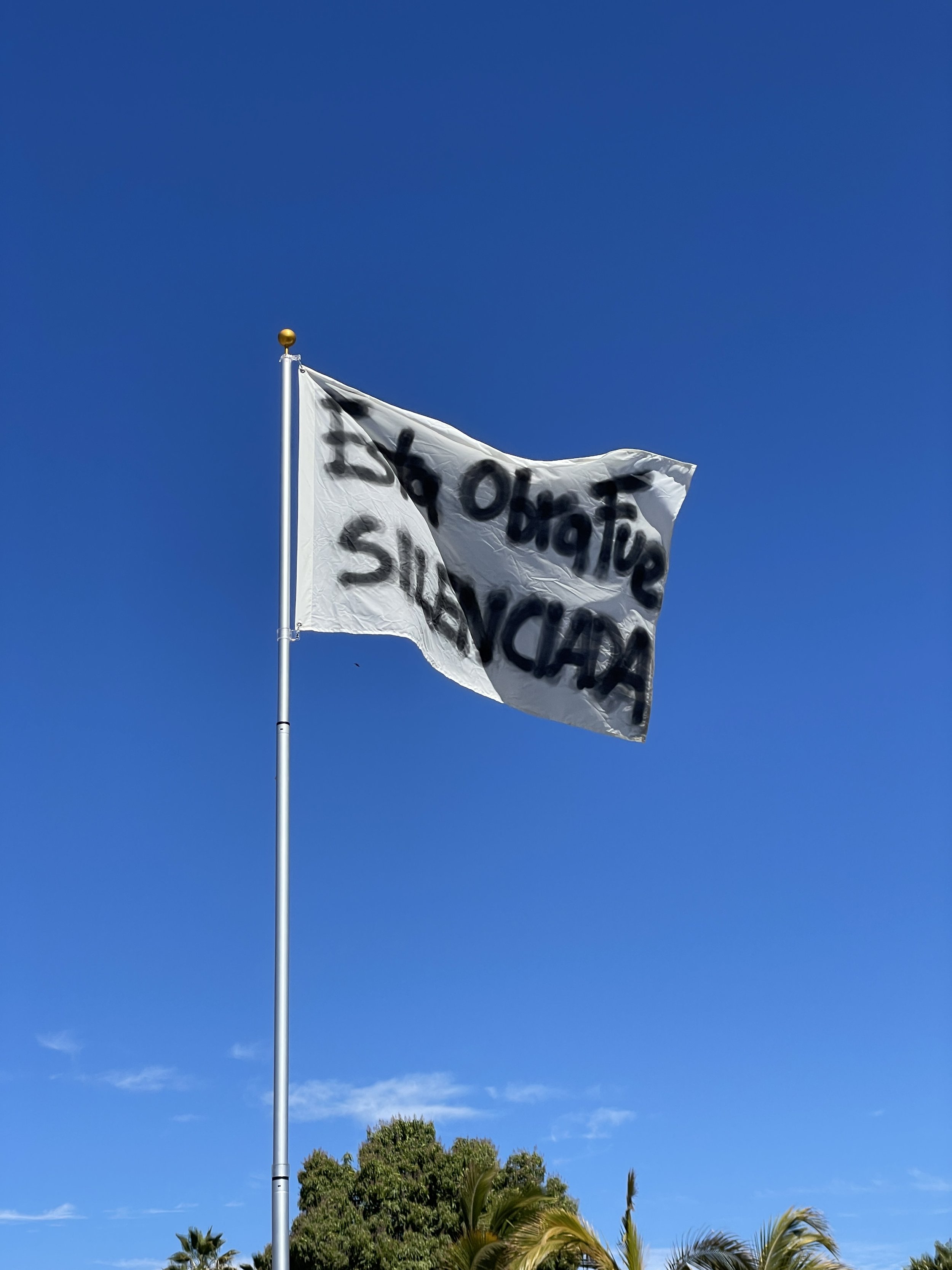    Esta Obra Fue Silenciada   (2023) es una respuesta artística a las fuerzas invisibles que buscan suprimir la expresión creativa y limitar las voces de los artistas. Originalmente compuesta por cuatro banderas, esta instalación encarna tanto la res