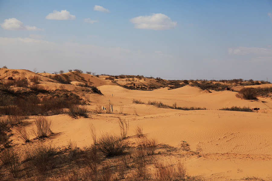 DaluDunes_0016_#4 Tee Shot.jpg