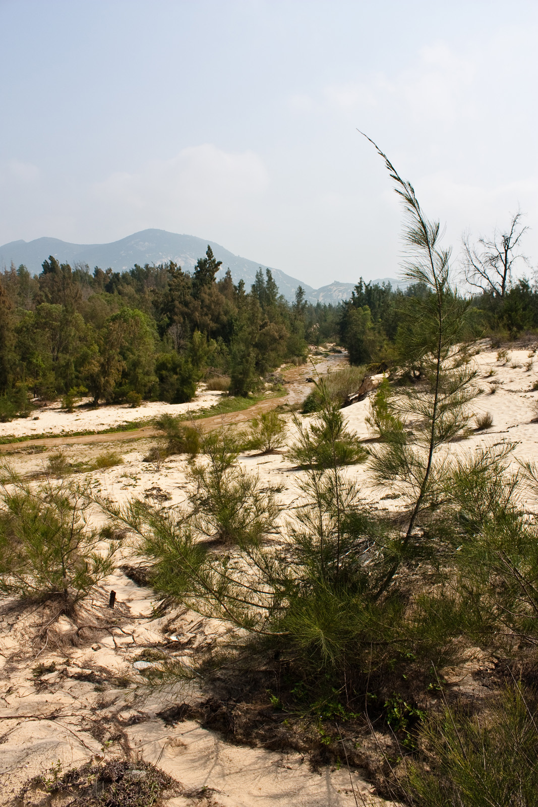 Site photo of the proposed clubhouse location and stream that runs through the property