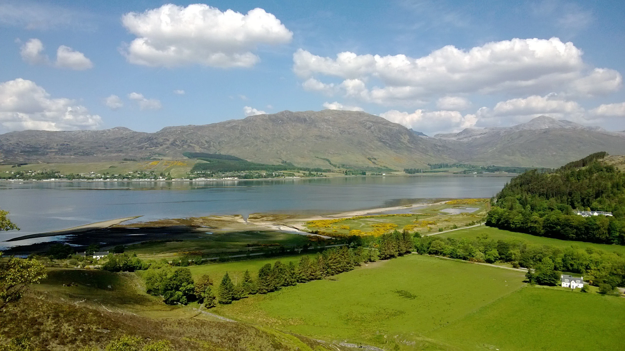 WP_20130609_013.jpg