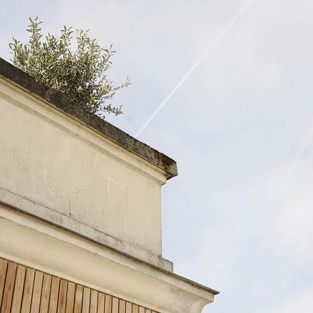 Extension bois à Meudon #atelieruoa #meudon #wood #instaarchitecture #instainteriordesign #instadecoration #paris #architecture #design #architects #project #architecturelovers #architecturephotography #architecturedesign #architecturephoto #a