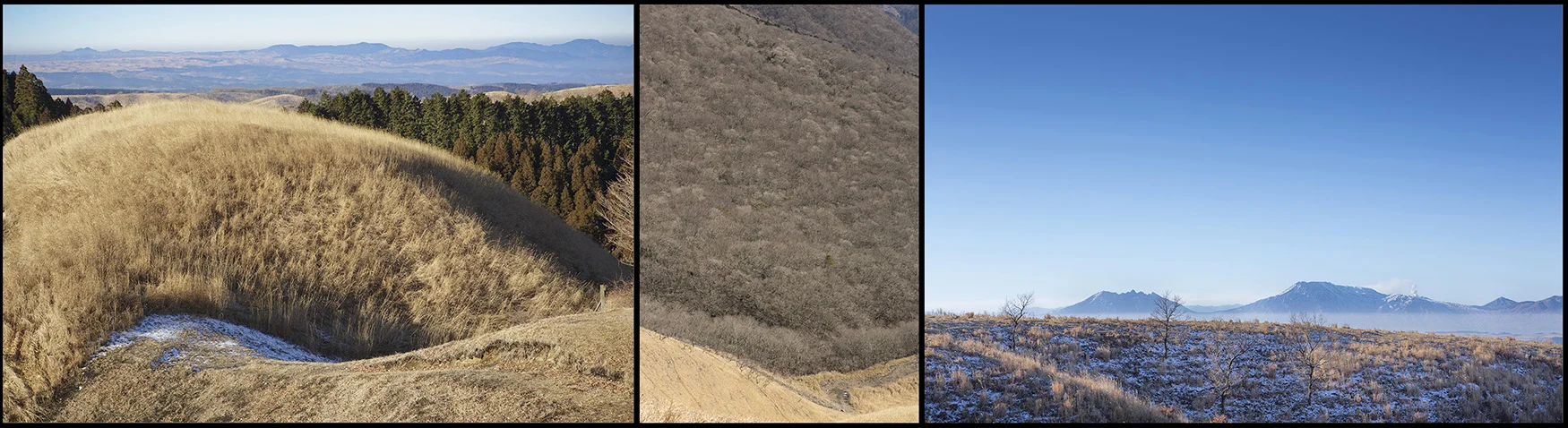 Japan from a distance-2web.jpg
