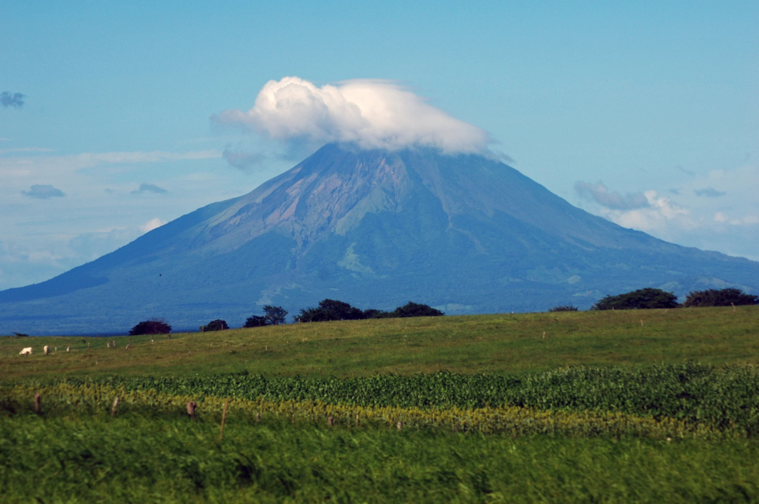 Do the Patent Local Rules Bind You