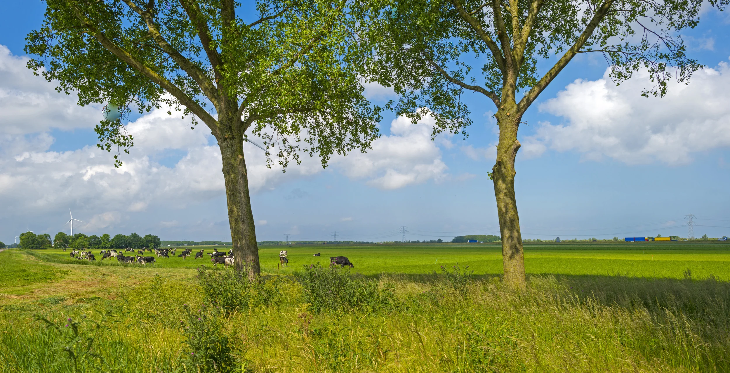 Ten "industry" reversals that could impact Patdek