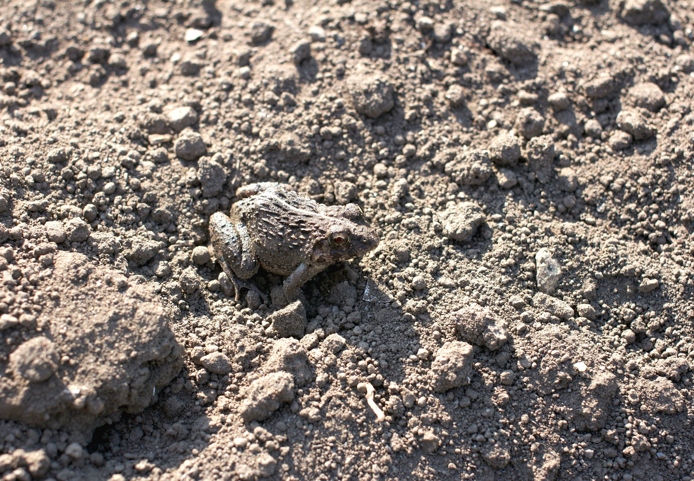 Comparing Uber to legal industry misses the mark