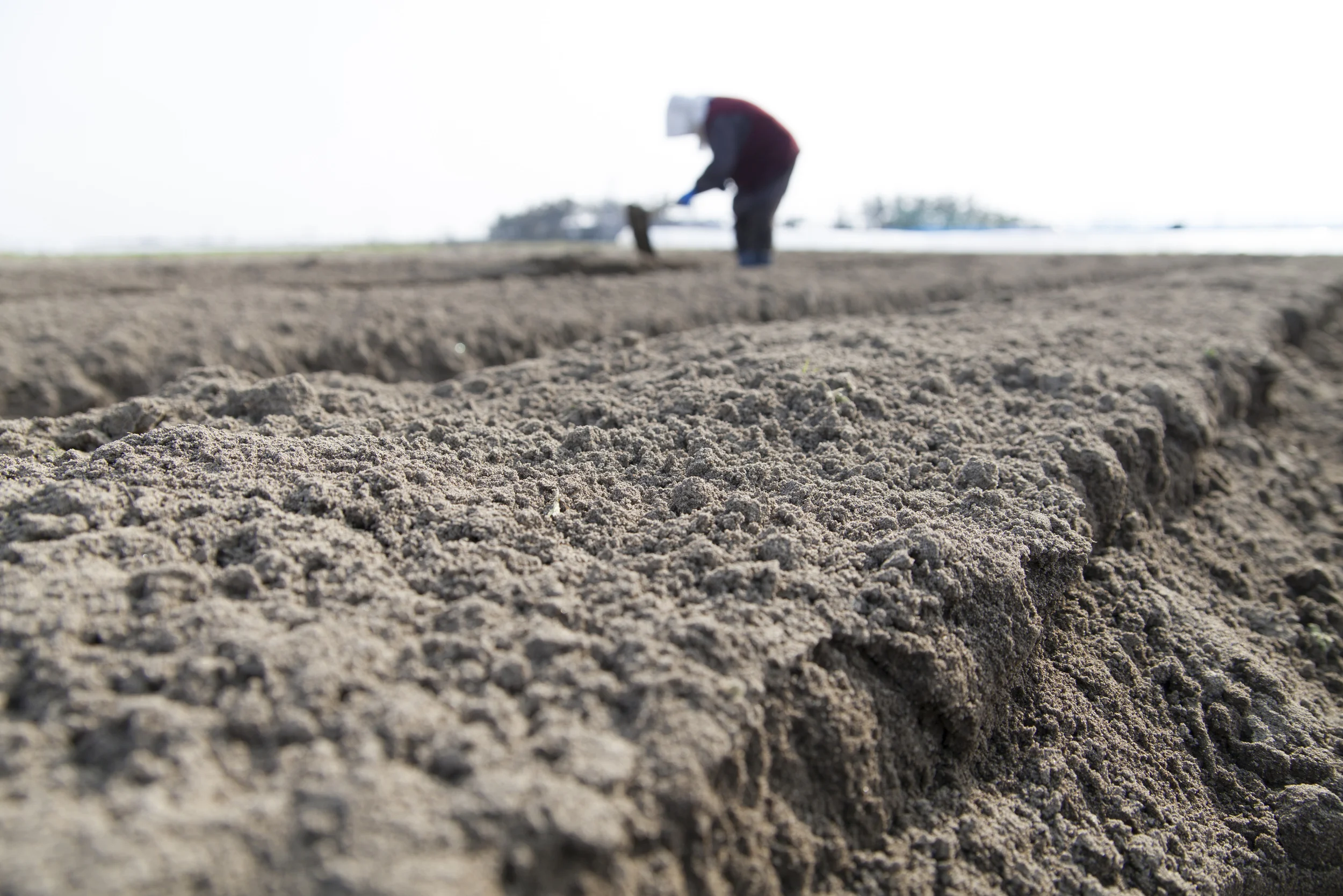 PTAB trial pre-institution decisions need oversight