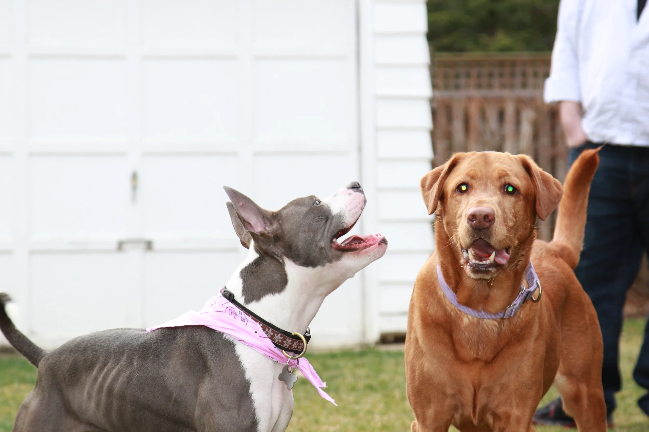 What to do with 250 terabytes of storage