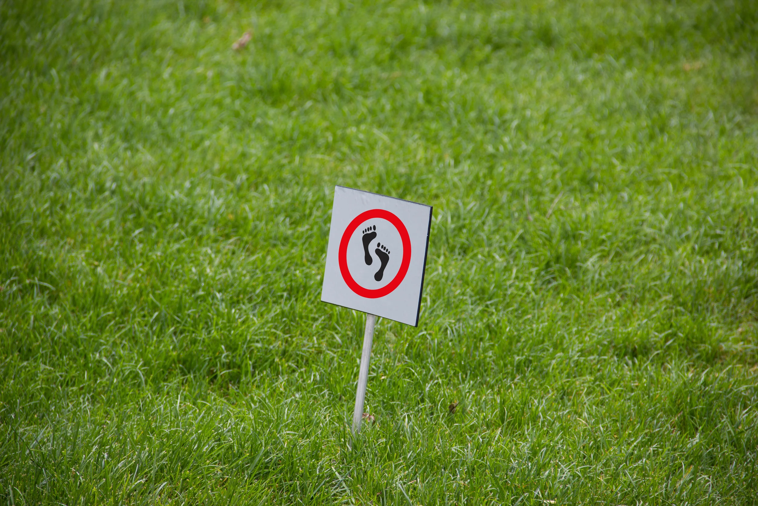PostGrant Portal bans founder of Patdek
