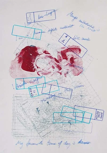 Incremental Steps Mixed-media on paper, 2012 42 x 29.7 cm