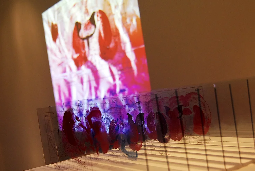 An Emerging View Exhibition View, 2012 Screenprint on glass 13.5 × 42 × 30 cm Photo: Agnieszka Swiejkowska