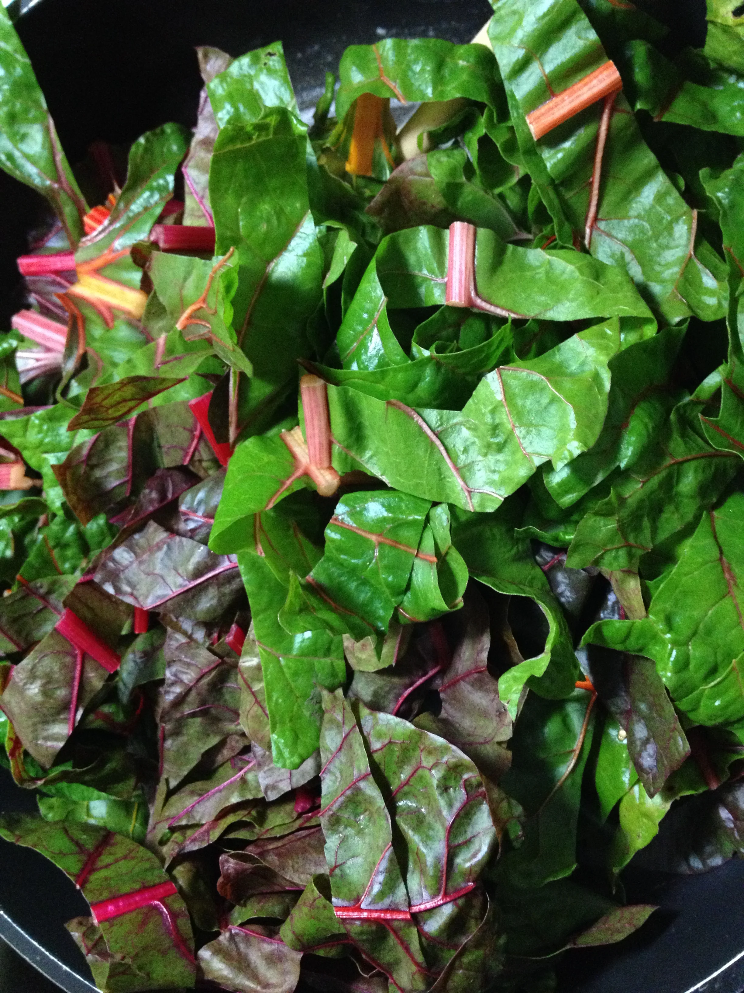 Swiss Chard.JPG
