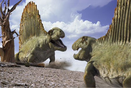 Dimétrodons,un thétapside apellé aussi reptile mammalien