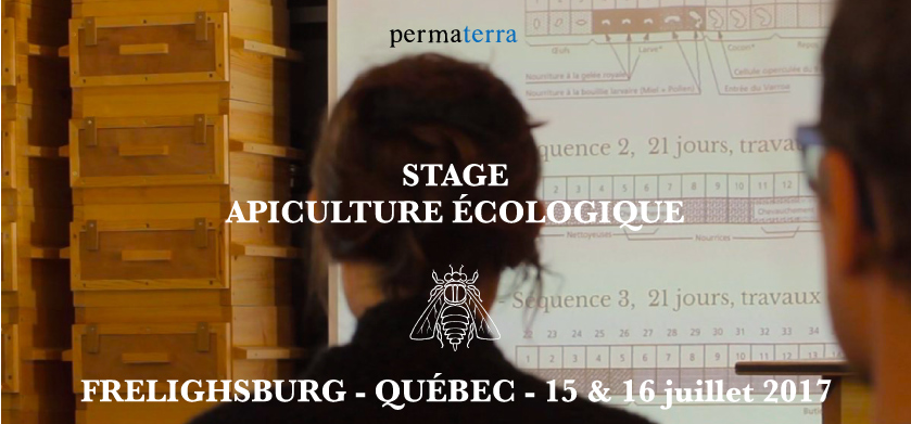 Bandeau-stage-API-Québec+-dates.jpg