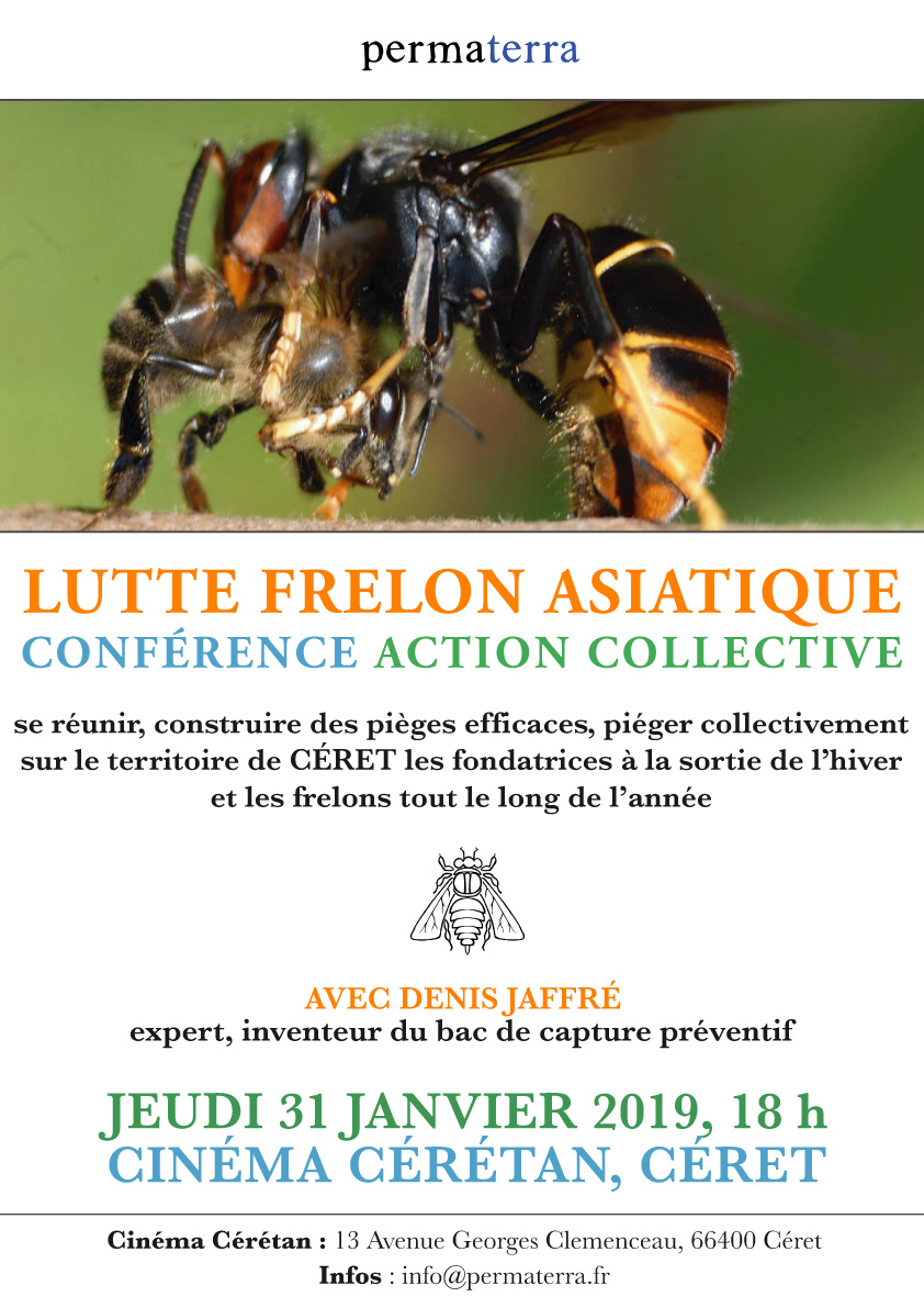 Affiche-Permaterra-frelon-asiatique-janv-2019.jpg