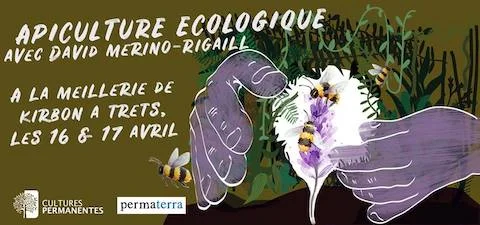 Api Eco.jpg