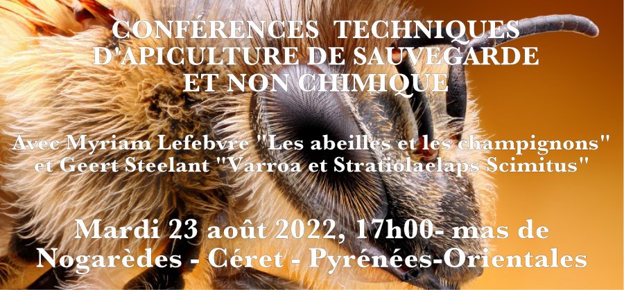 Bandeau apiculture écologique2021