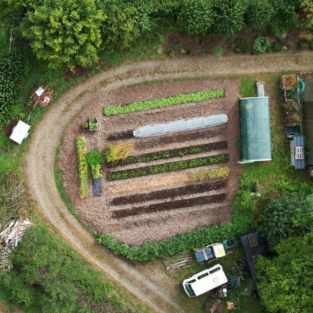 jardin copie - Moyenne.jpeg