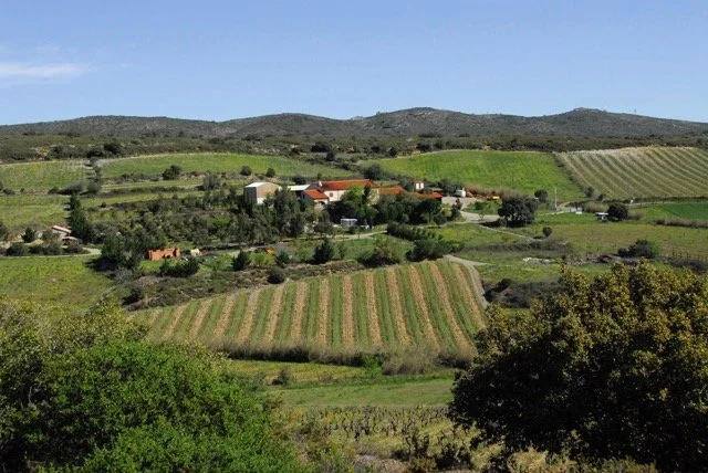 Le_Domaine_Lieu_dit_La_Muntada - Moyenne.jpeg