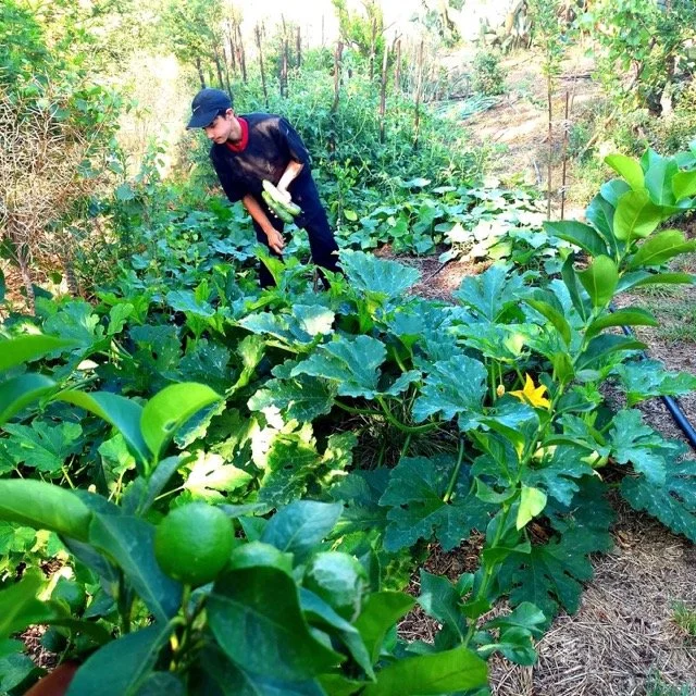 524360888_1221164353359449_8871124957909385635_n - Moyenne.jpeg