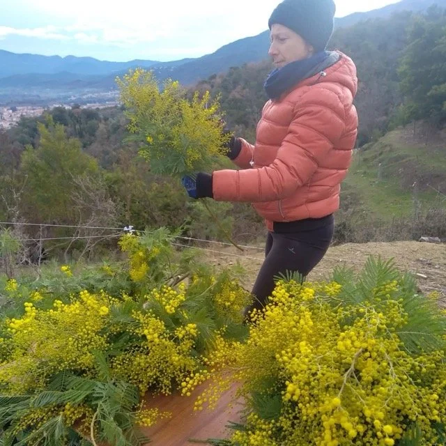 IMG_20230117_221932_413 - Moyenne.jpeg