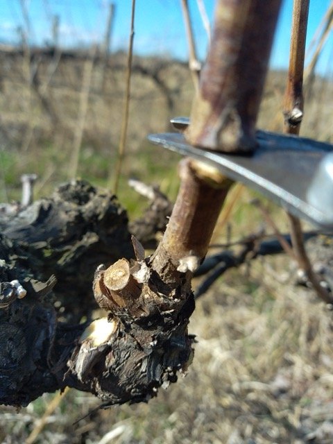 IMG_20240306_135149 - Moyenne.jpeg