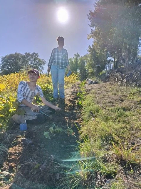 IMG_20251118_WA0008-1 - Moyenne.jpeg