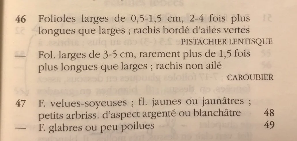 photo_2026-03-05 02.12.24.jpeg