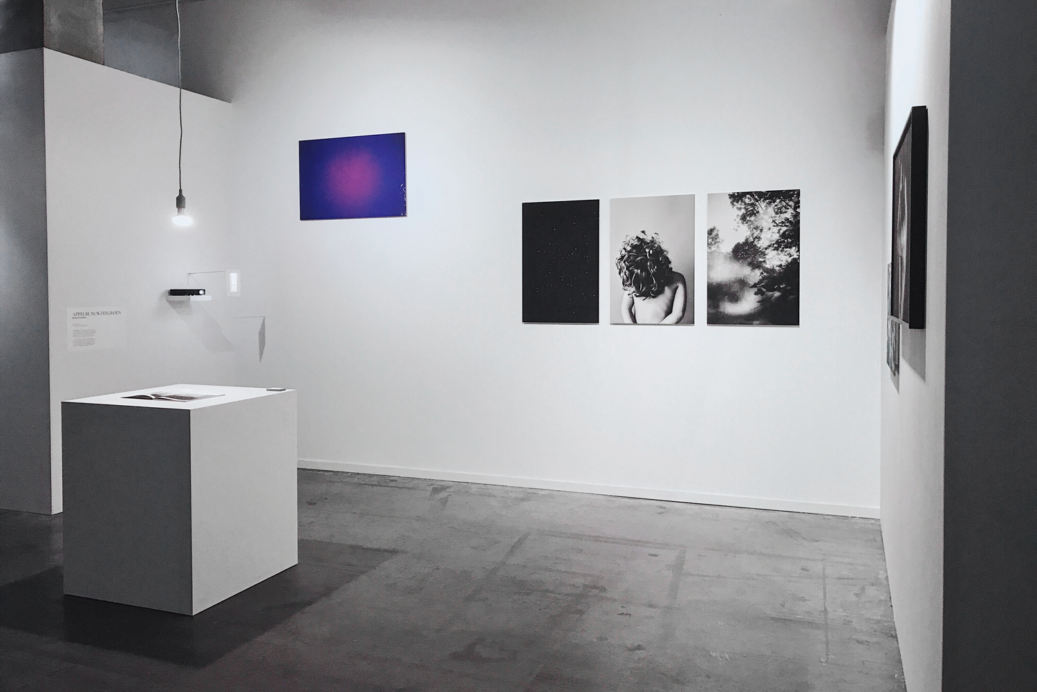Expo-Always-now_web2.jpg