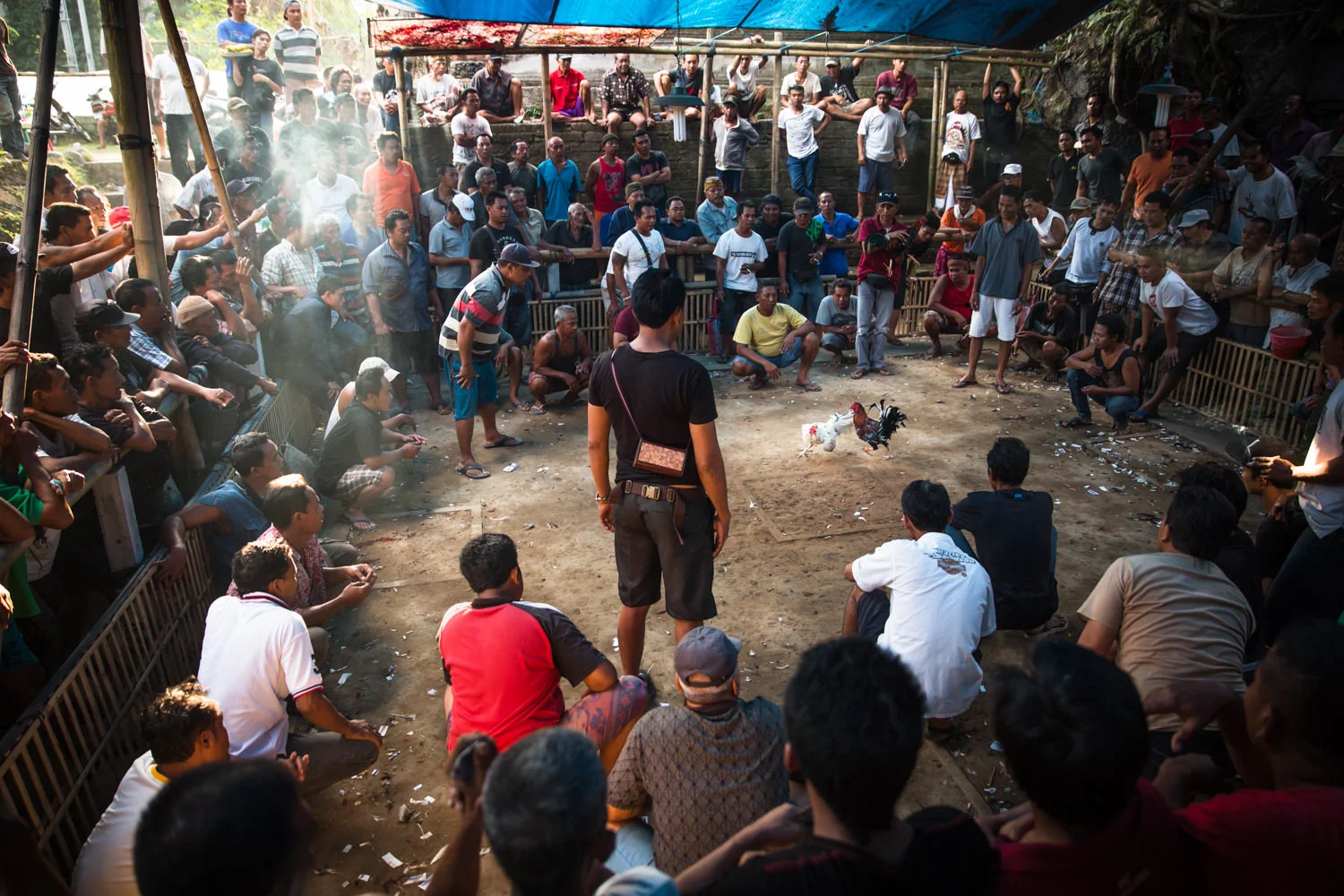 TGB_20150721_Cockfighting_Bali_861.jpg