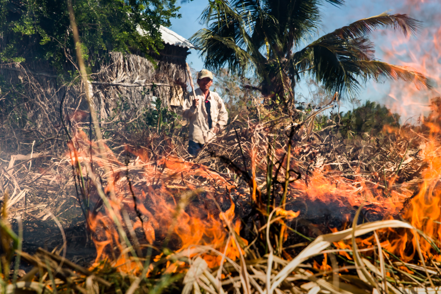  Farmer burns his sugarcane crop to prepare for another season as drought ruined his harvest. 