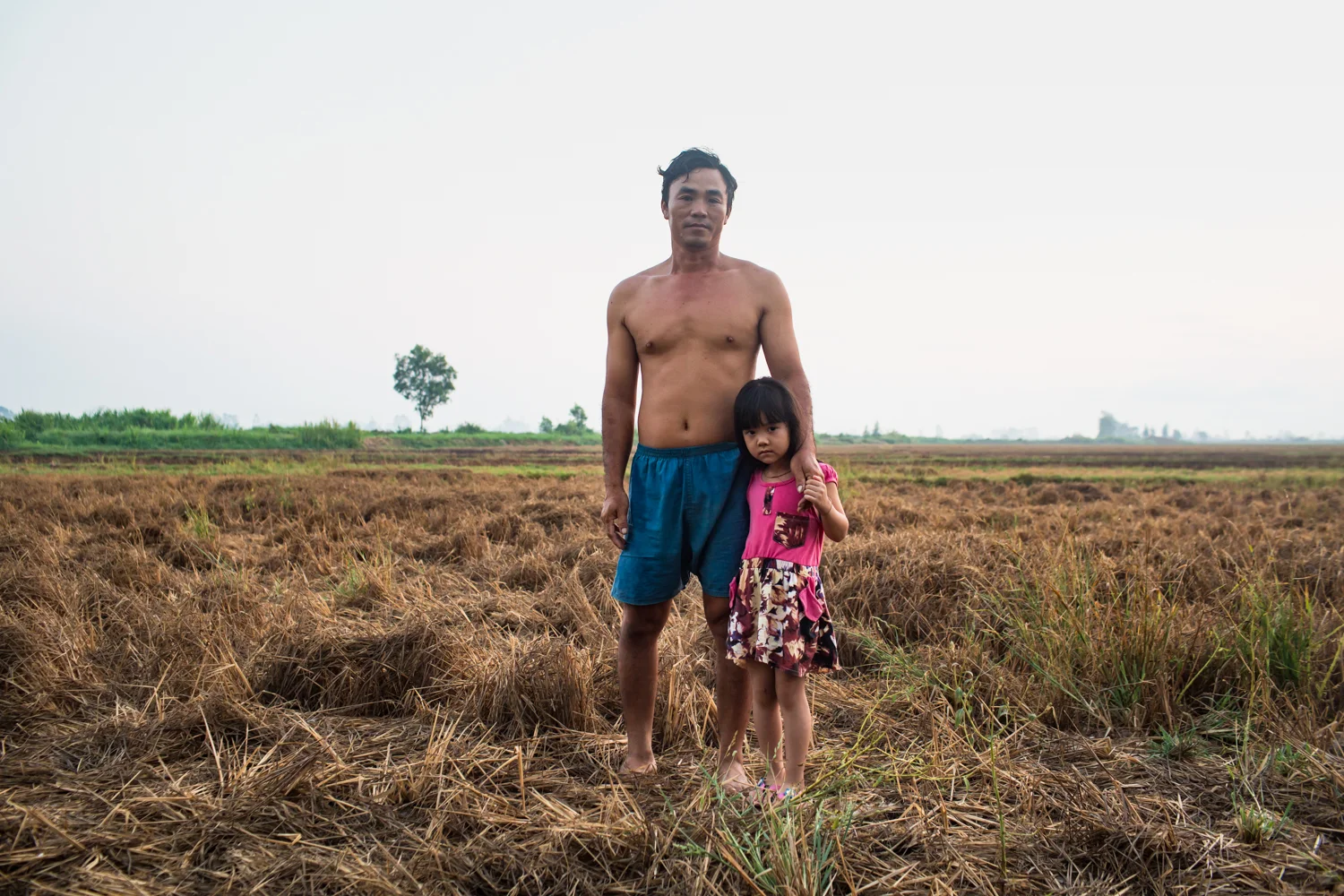 April 27, 2016. We met Khanh and his daughter Quynh in the same field. He told us that his cows won't even eat the spoiled rice straw as it is too salty so he has to buy hay and water for them. He has taken temporary work temporary work as a builder in town until the rains comes and he can start work in his rice fields again.