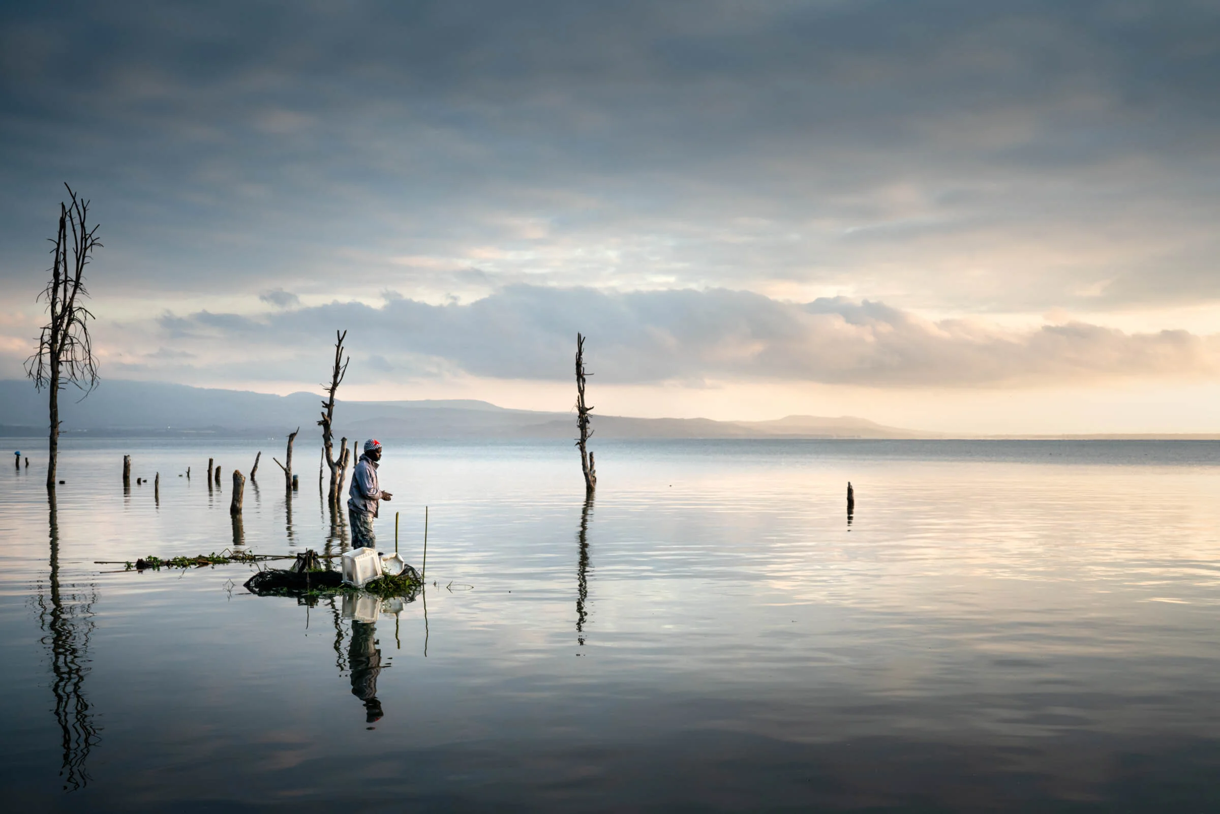  A fisherman amongst the trees in the shallows of Lake Naivasha, Kenya. 