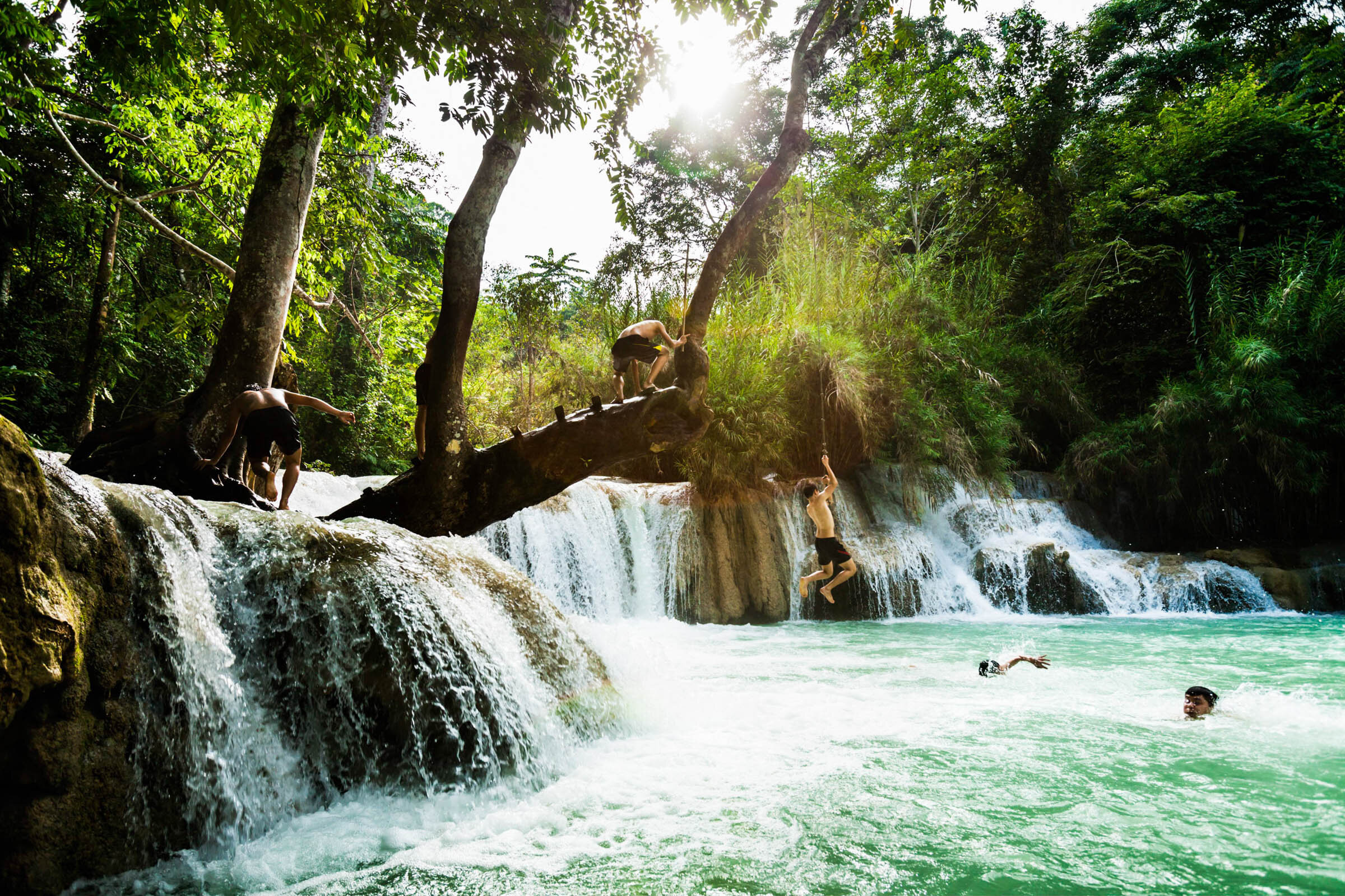  Local men on rope swing into Tat Kuang Si waterfalls, Luang Prabang, Laos. 