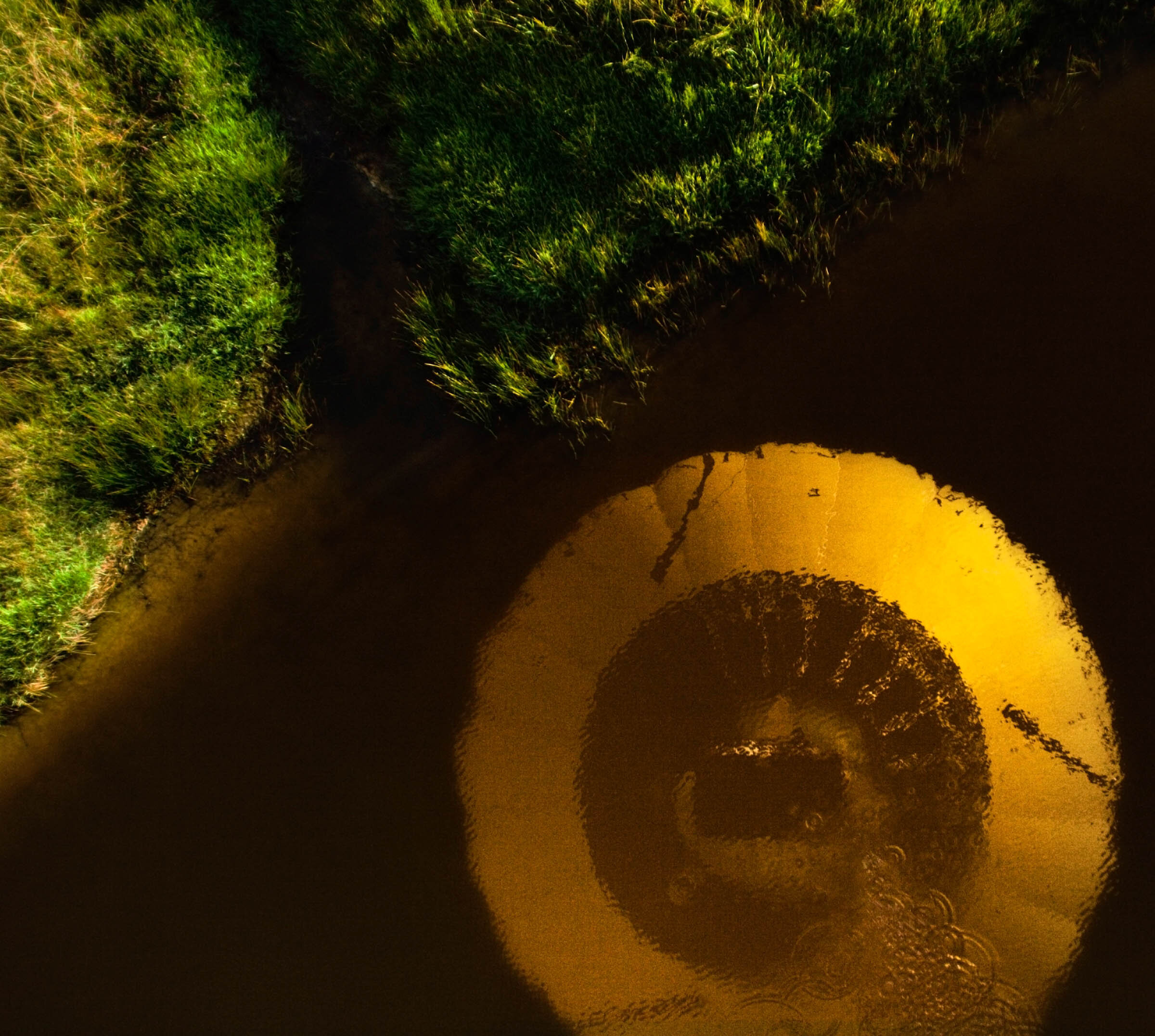  Reflection of Global Ballooning hot air balloon, Yarra Valley. 