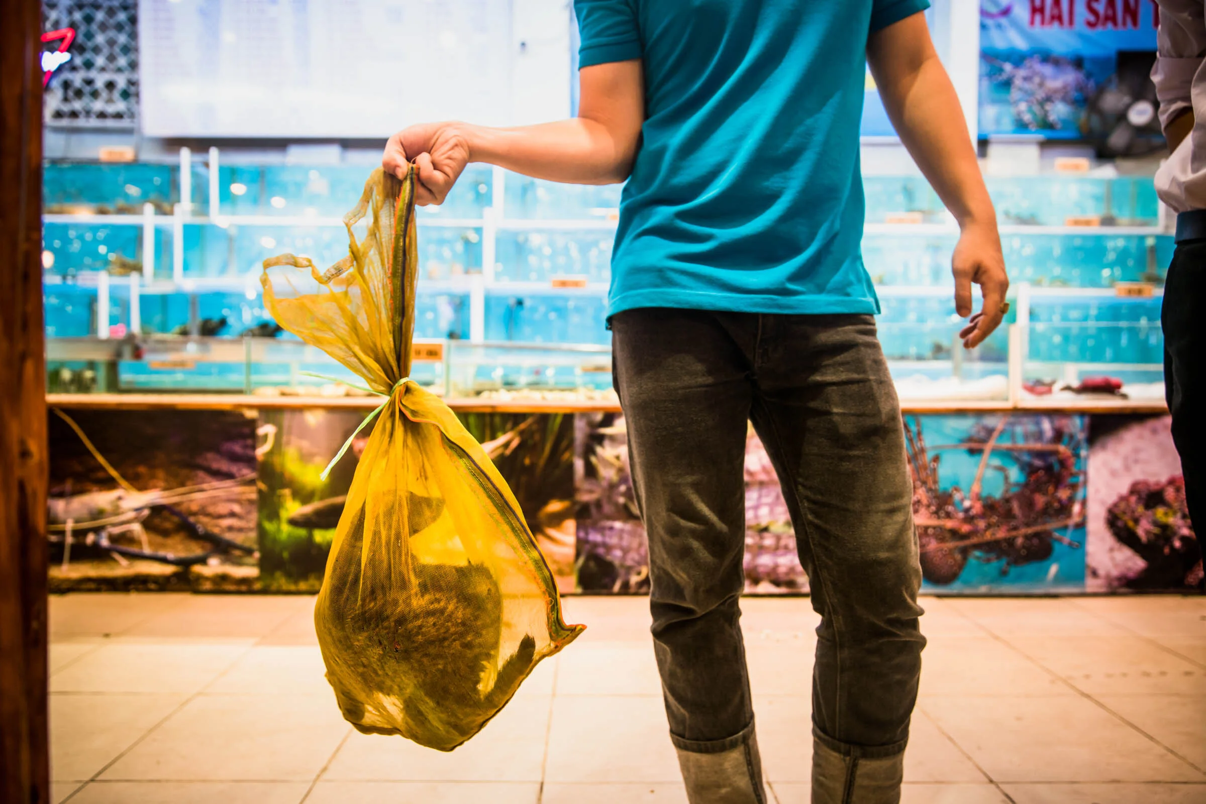  A live civet in a yellow bag at a restaurant known for selling illegal wildlife, Ho Chi Minh City, Vietnam. 
