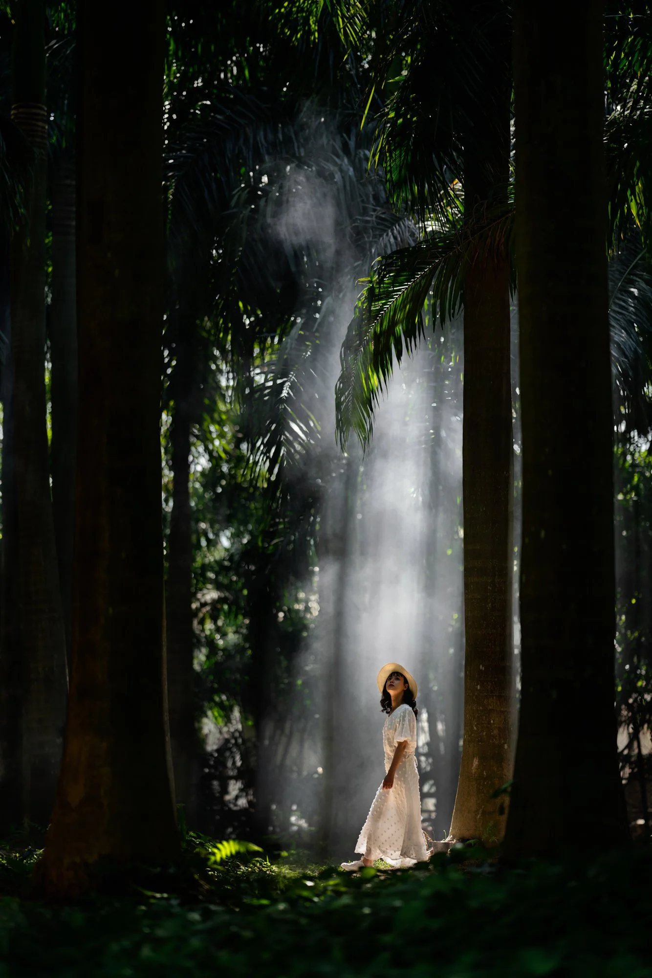  Woman walks through tall trees as rays of light beam down at Ecopark, Hanoi. 
