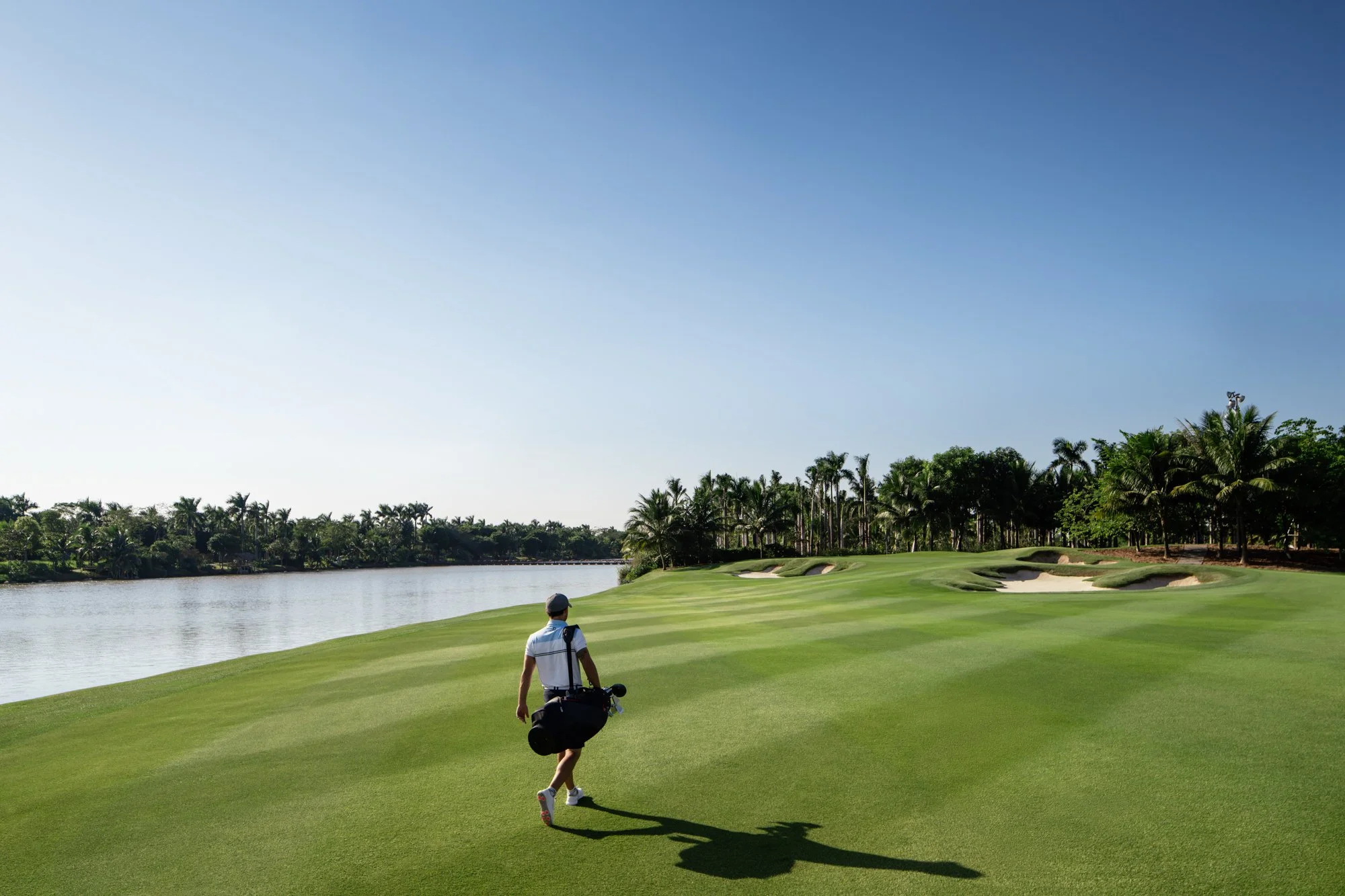  Male golfer with gold bag and clubs walking on fairway of the Els Performance Golf Academy, Ecopark, Hanoi. 