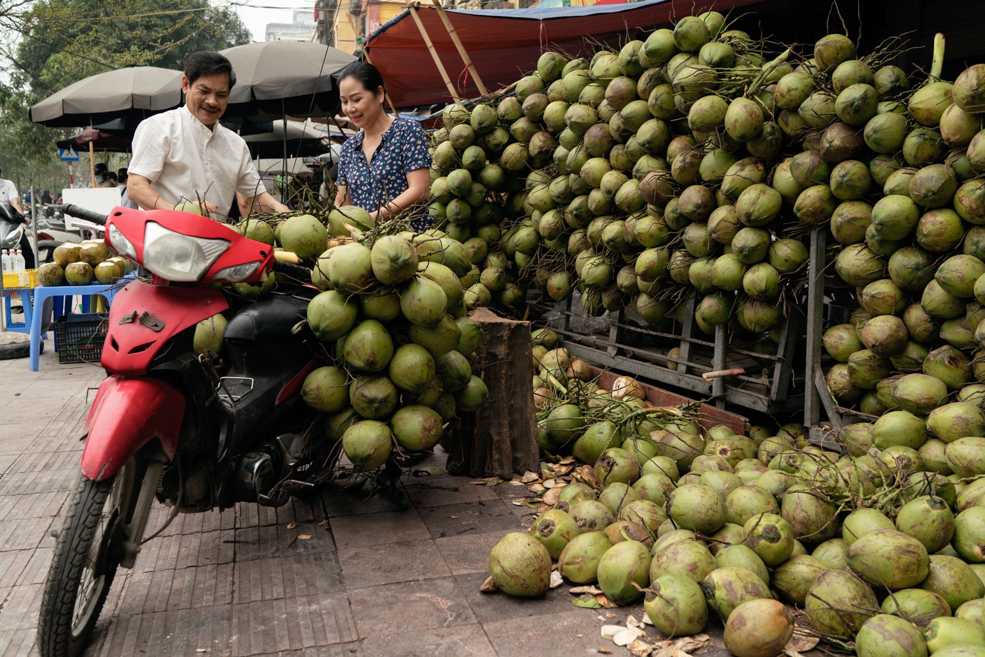  Buyer and market seller stack a large quantity of cocunuts onto motorbike at wholsale market. 