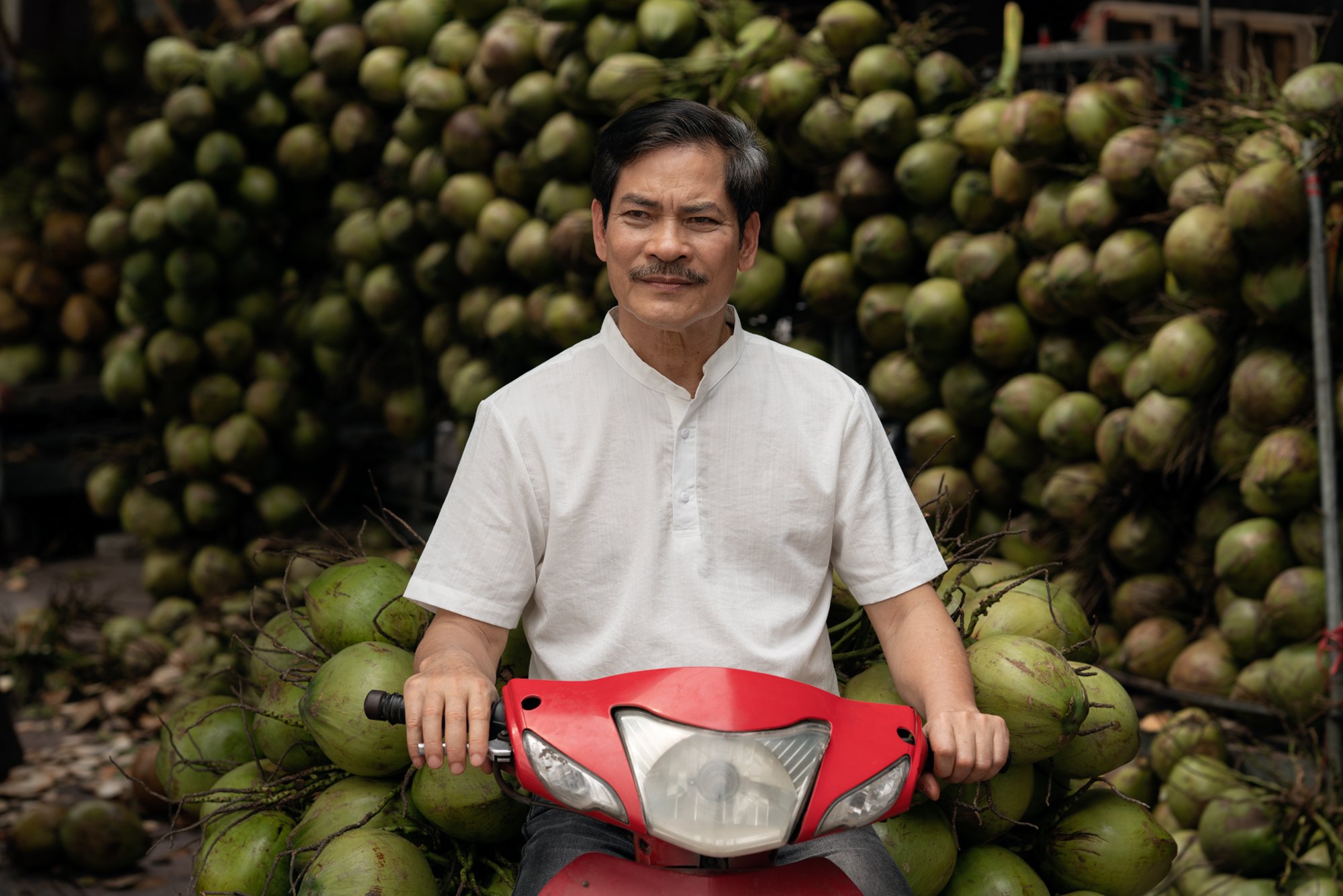  Portrait of male buyer with a large quantity of cocunuts stacked onto his motorbike at wholsale market. 