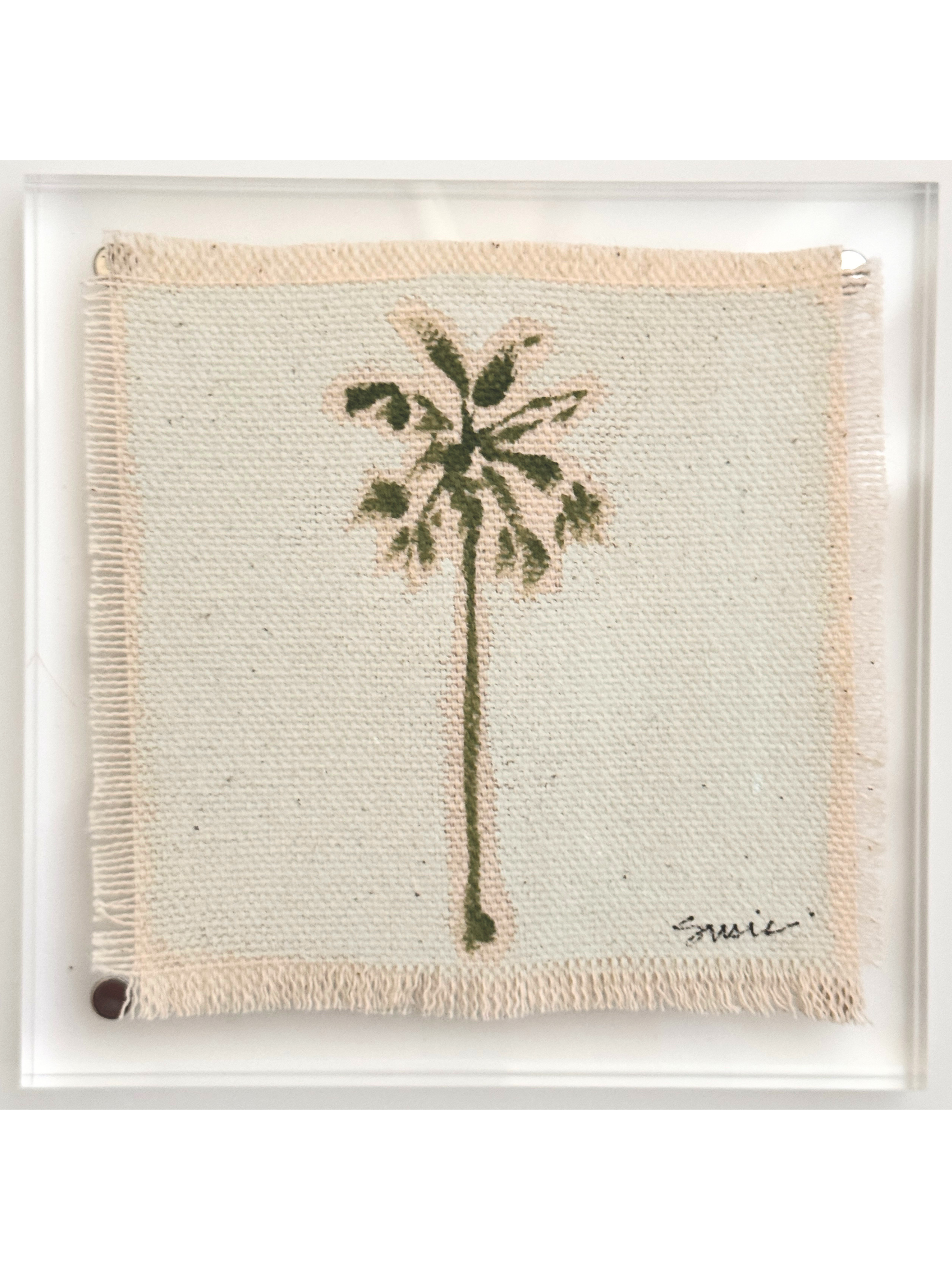 Mini Palm 15-0726
